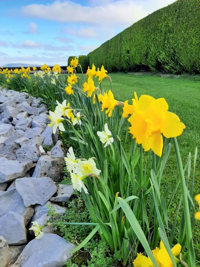 Bunratty Haven Bed & Breakfast Exterior foto